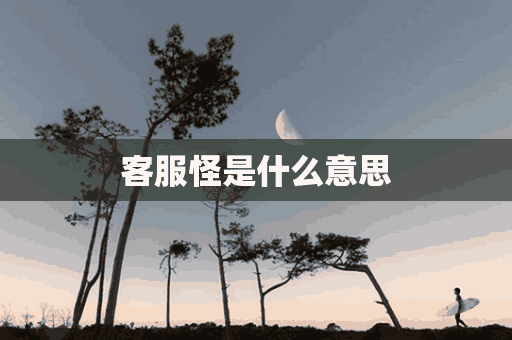 客服怪是什么意思